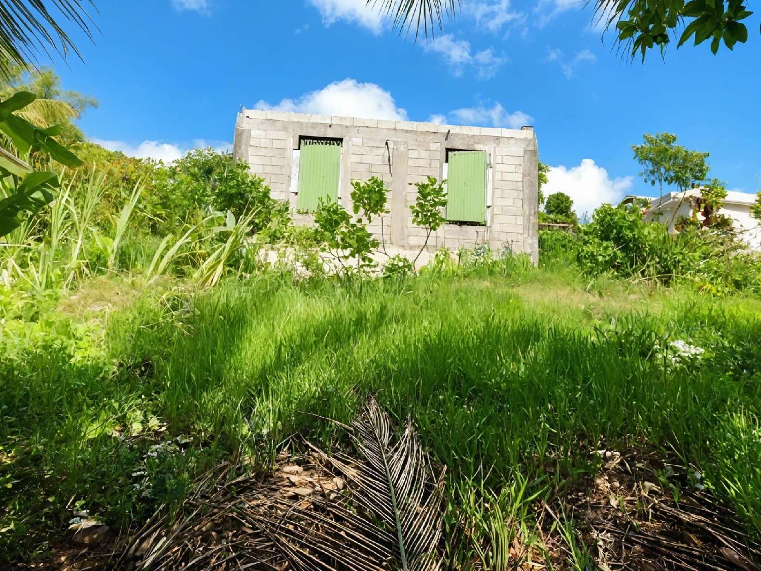 kaufen Haus Sainte-Anne Guadeloupe 2