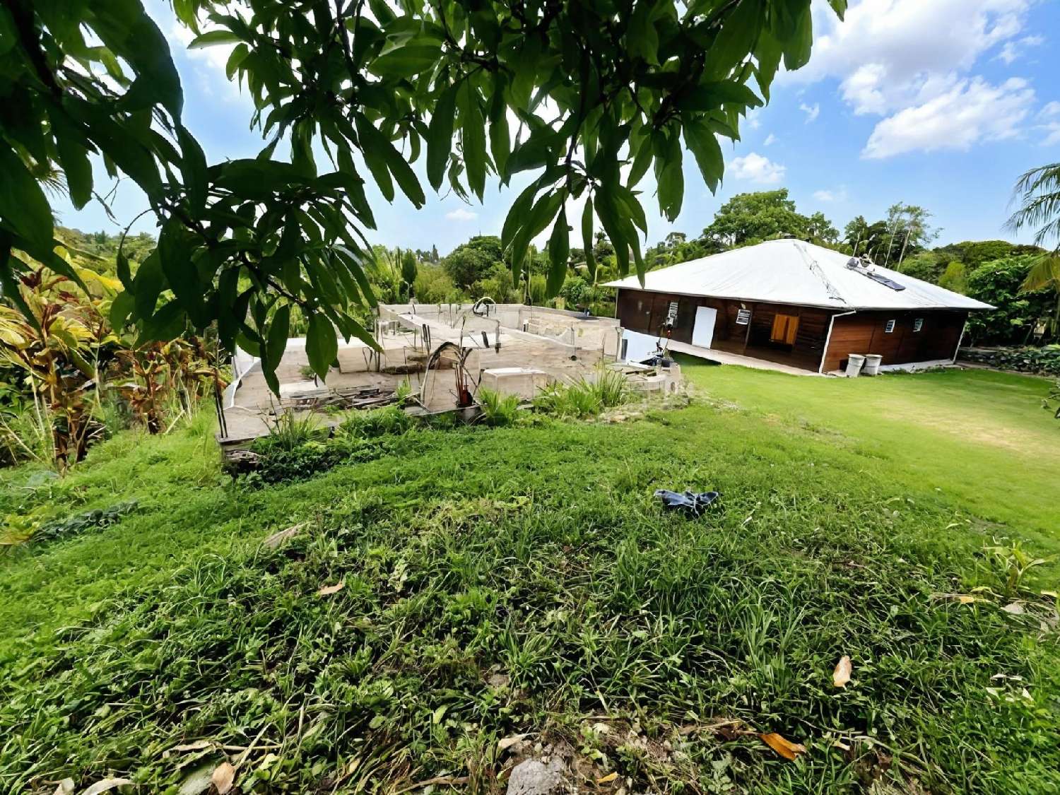 kaufen Haus Sainte-Anne Guadeloupe 6