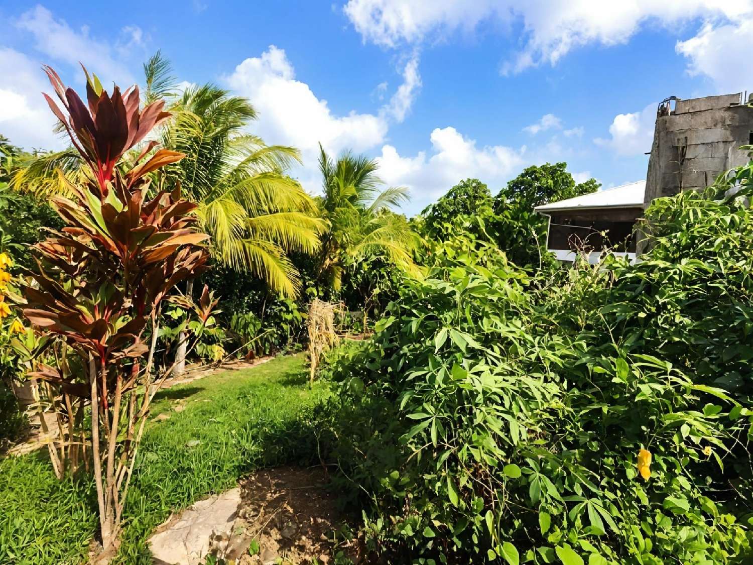 kaufen Haus Sainte-Anne Guadeloupe 8