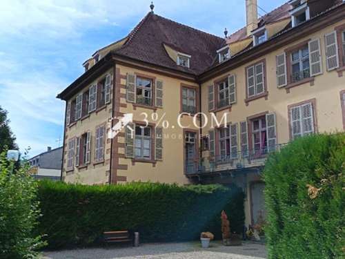 Sainte-Marie-aux-Mines Haut-Rhin Haus Bild 7405092