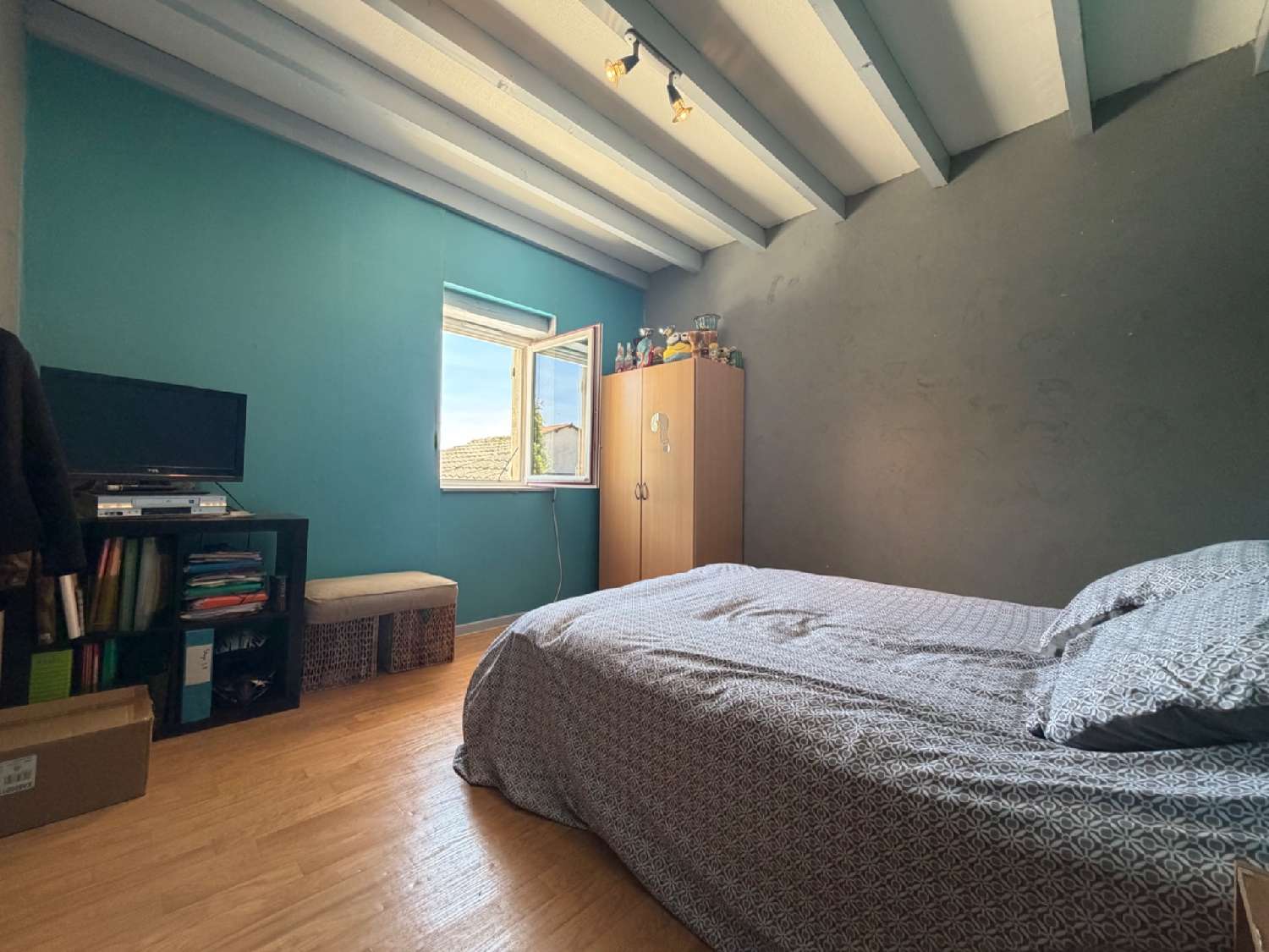 à vendre maison Salvizinet Loire 6