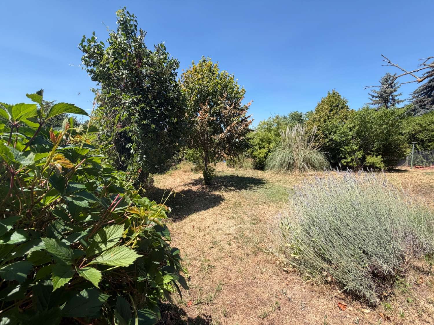 à vendre maison Salvizinet Loire 8