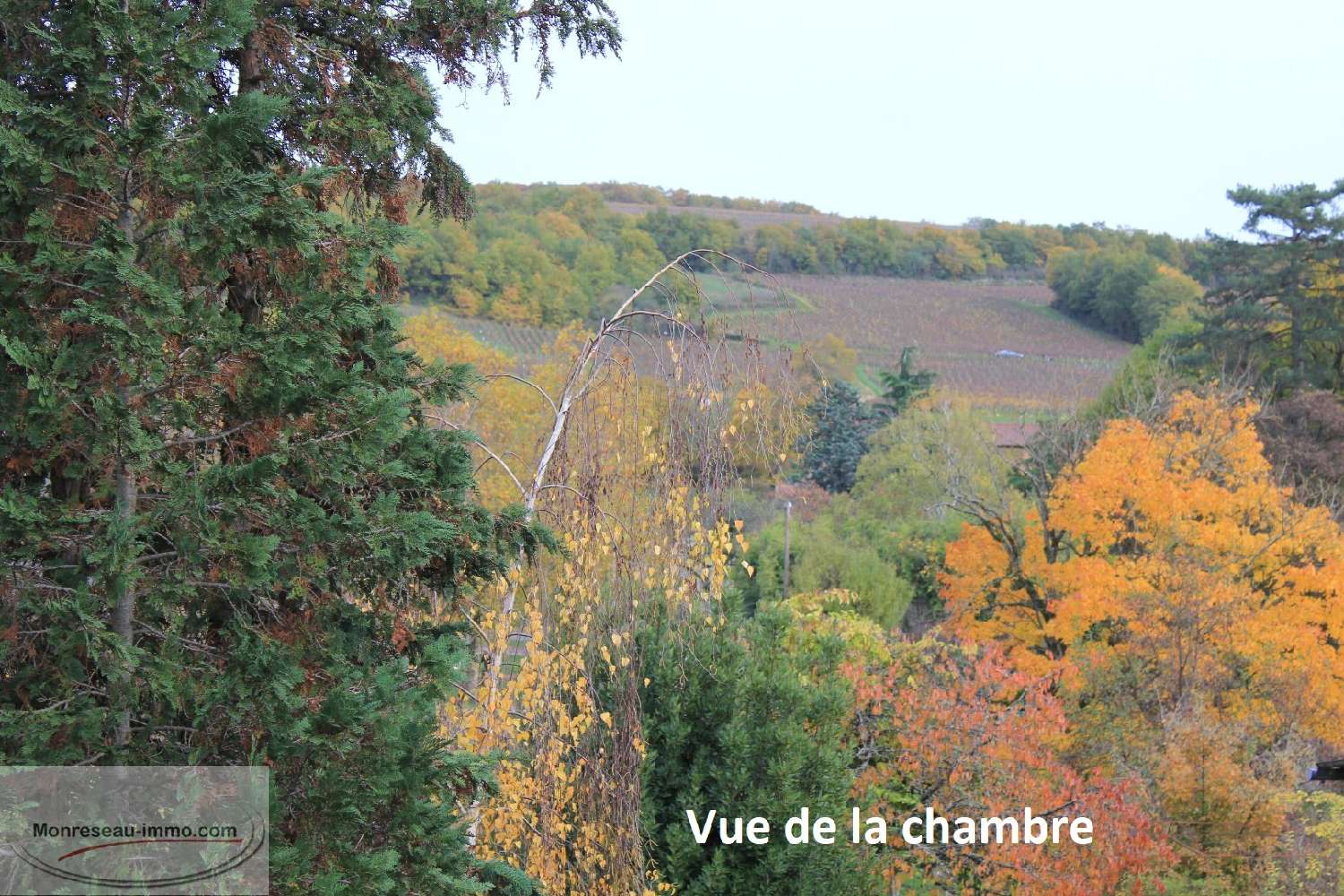 en venta casa Sancé Saône-et-Loire 4