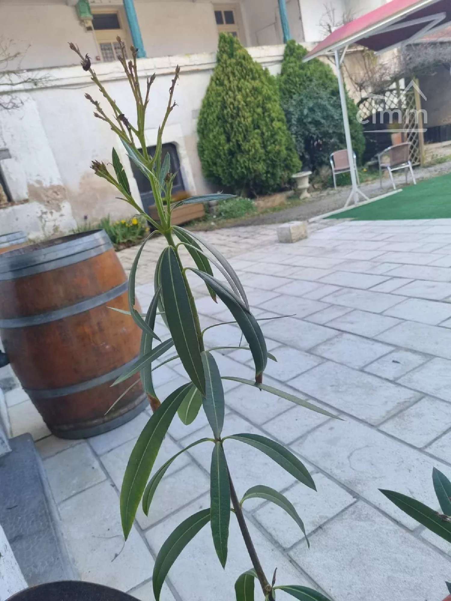  à vendre maison Selles-sur-Cher Loir-et-Cher 3