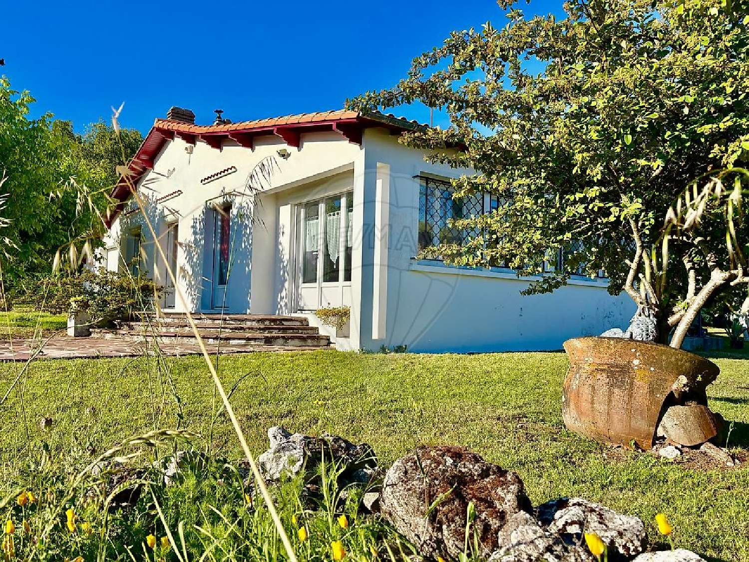 à vendre maison Sémussac Charente-Maritime 3