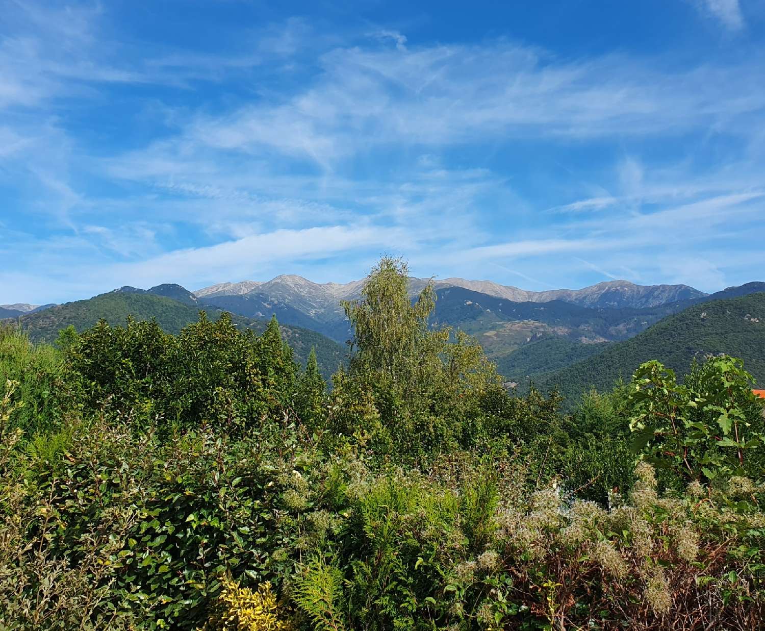 en venta casa Serralongue Pirineo Oriental 4