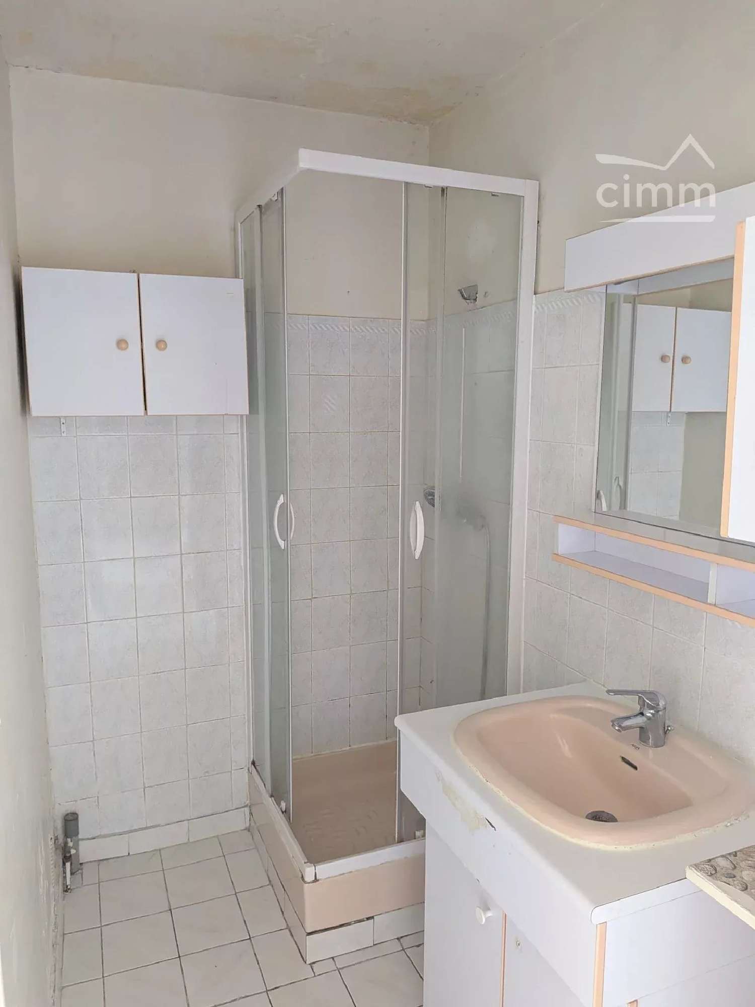te koop huis Seyssinet-Pariset Isère 6