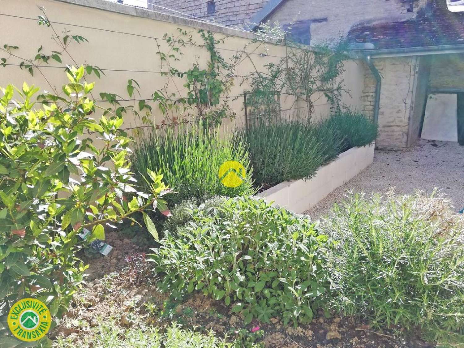 for sale house Tanlay Yonne 8