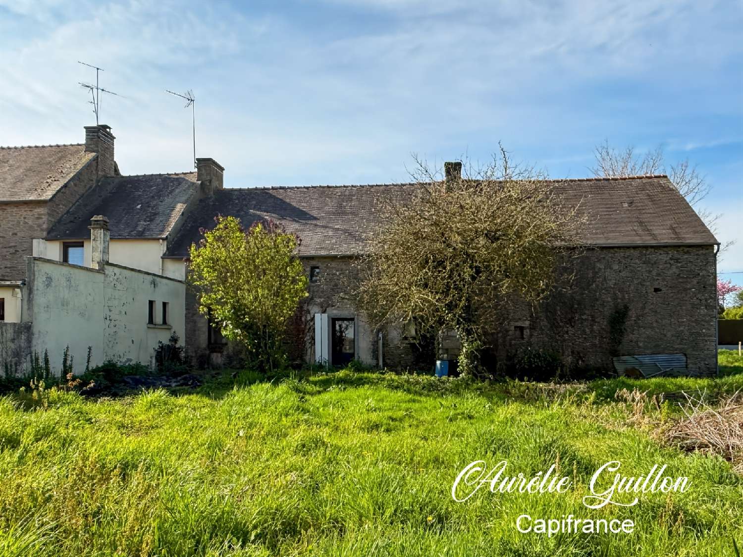 kaufen Haus Taupont Morbihan 2