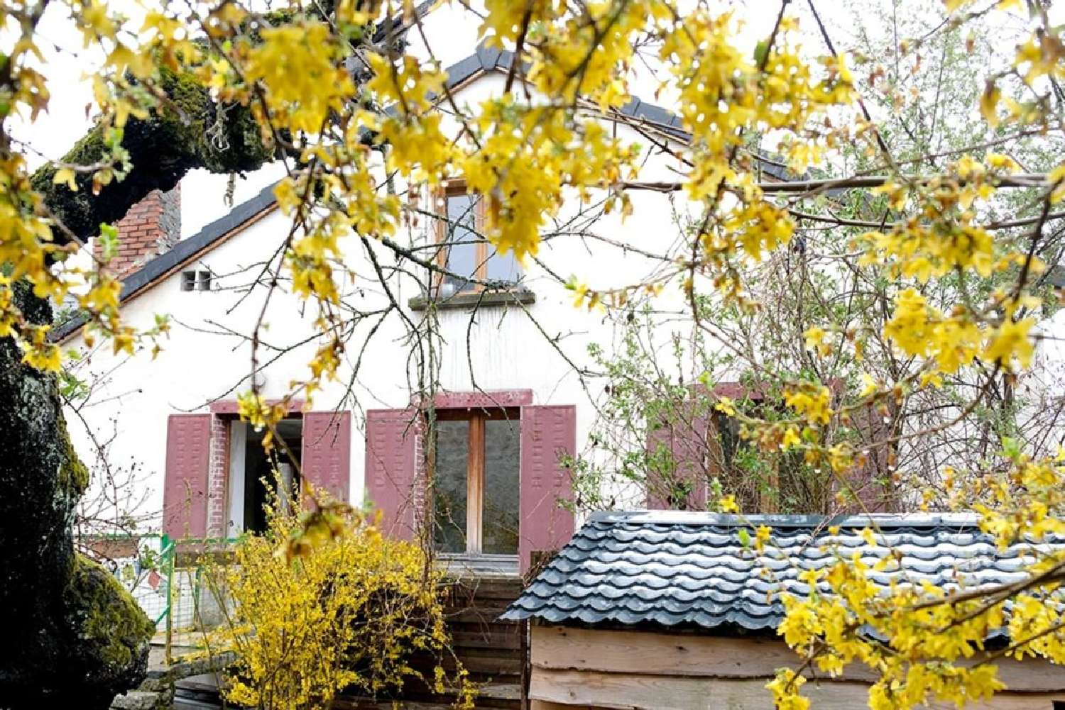  à vendre maison Tence Haute-Loire 2