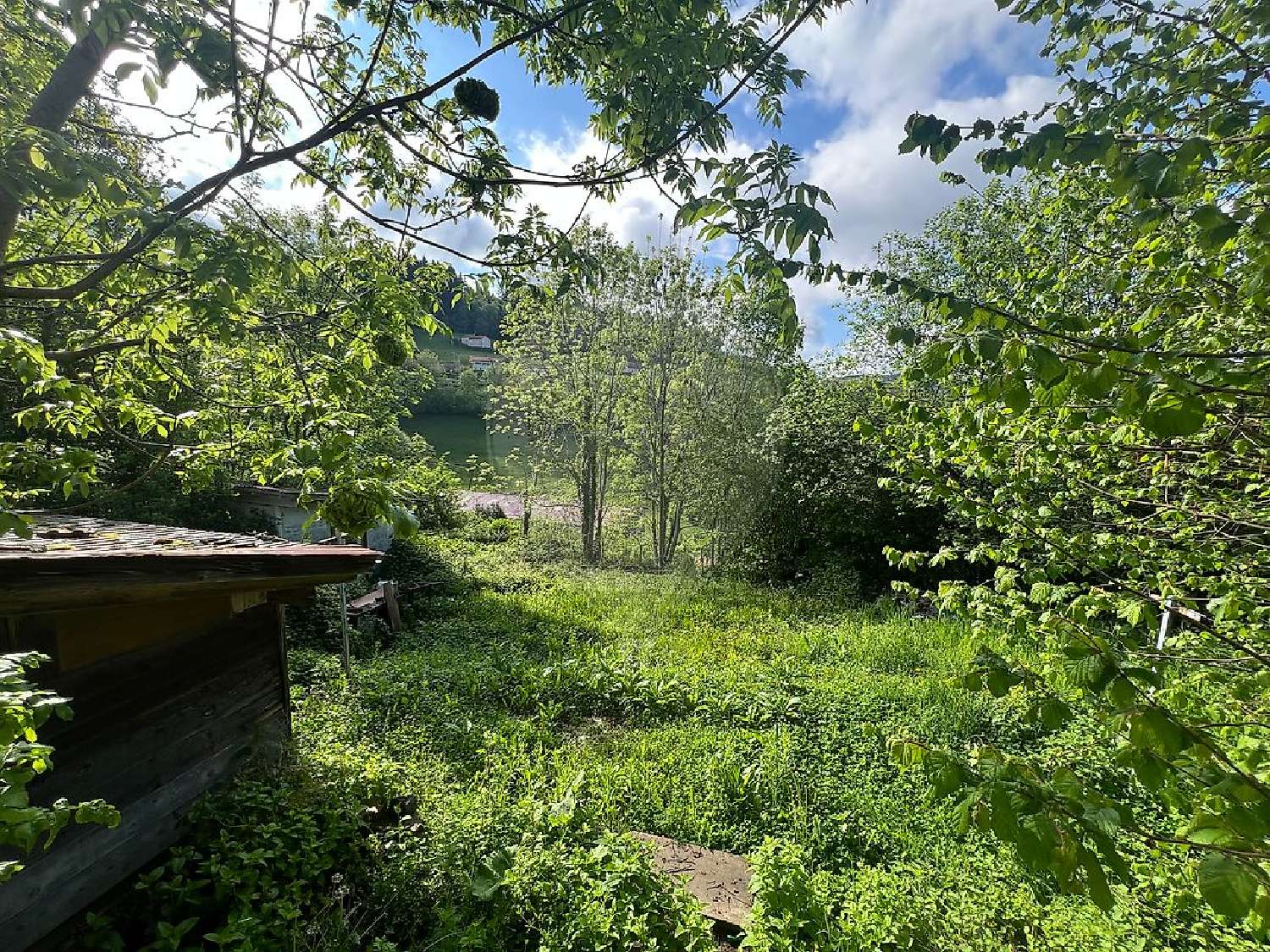 for sale house Thel Rhône 7