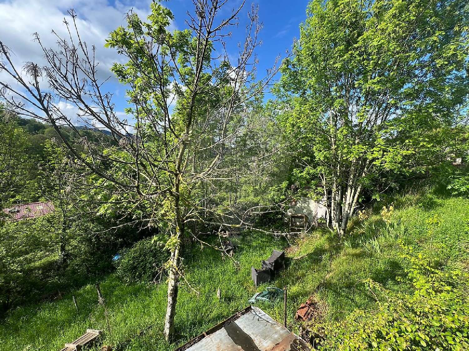 for sale house Thel Rhône 8