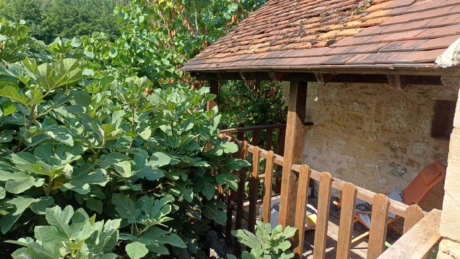  à vendre maison Thenon Dordogne 4
