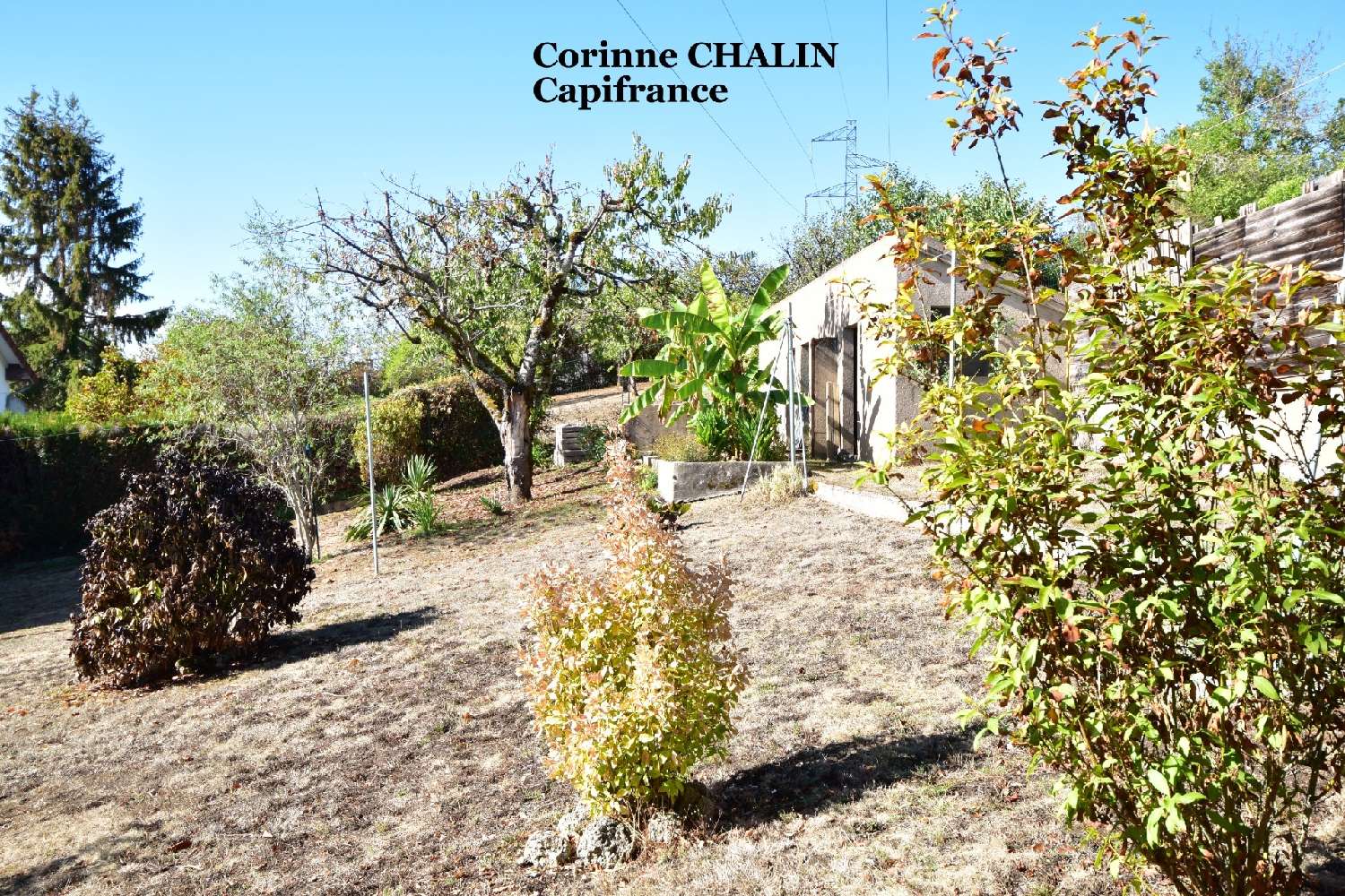 kaufen Haus Thionne Allier 3