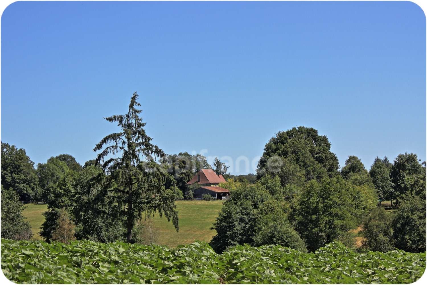 for sale house Thiviers Dordogne 6
