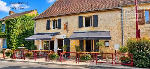 Thonac Dordogne house foto 7409325