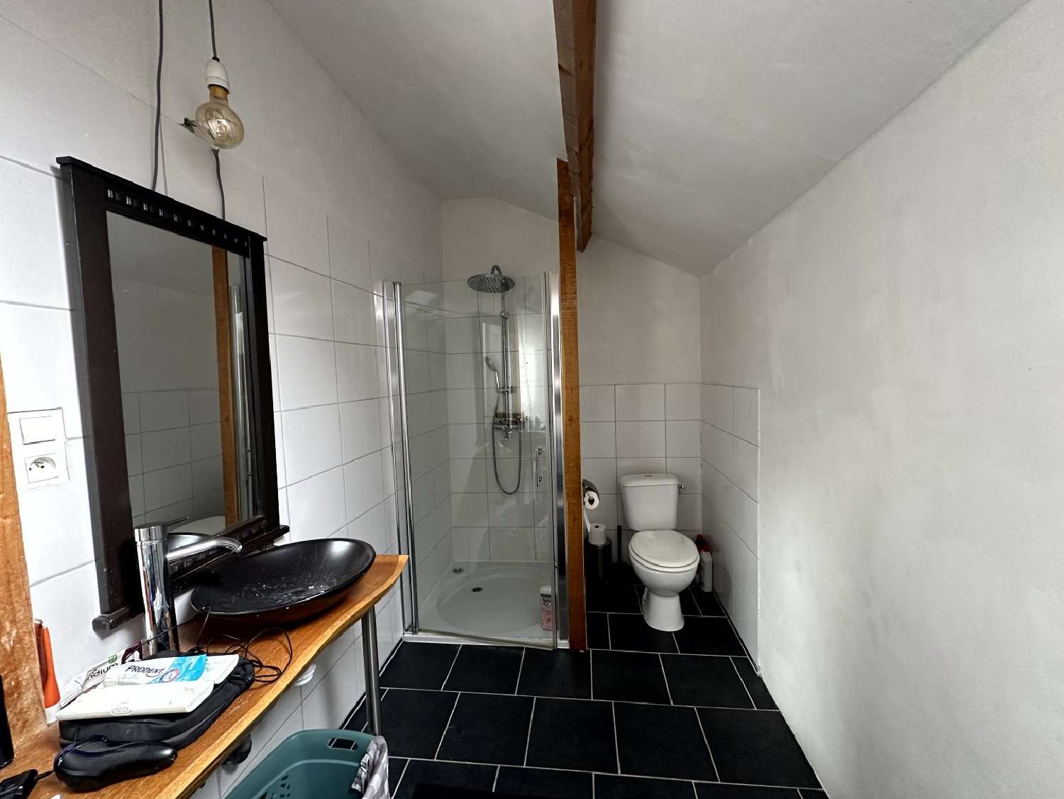 te koop huis Tréteau Allier 8