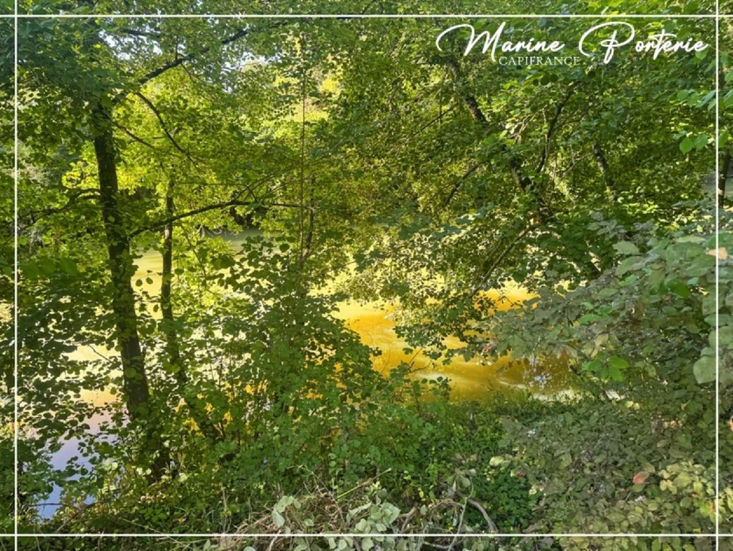 for sale house Valence-sur-Baïse Gers 3