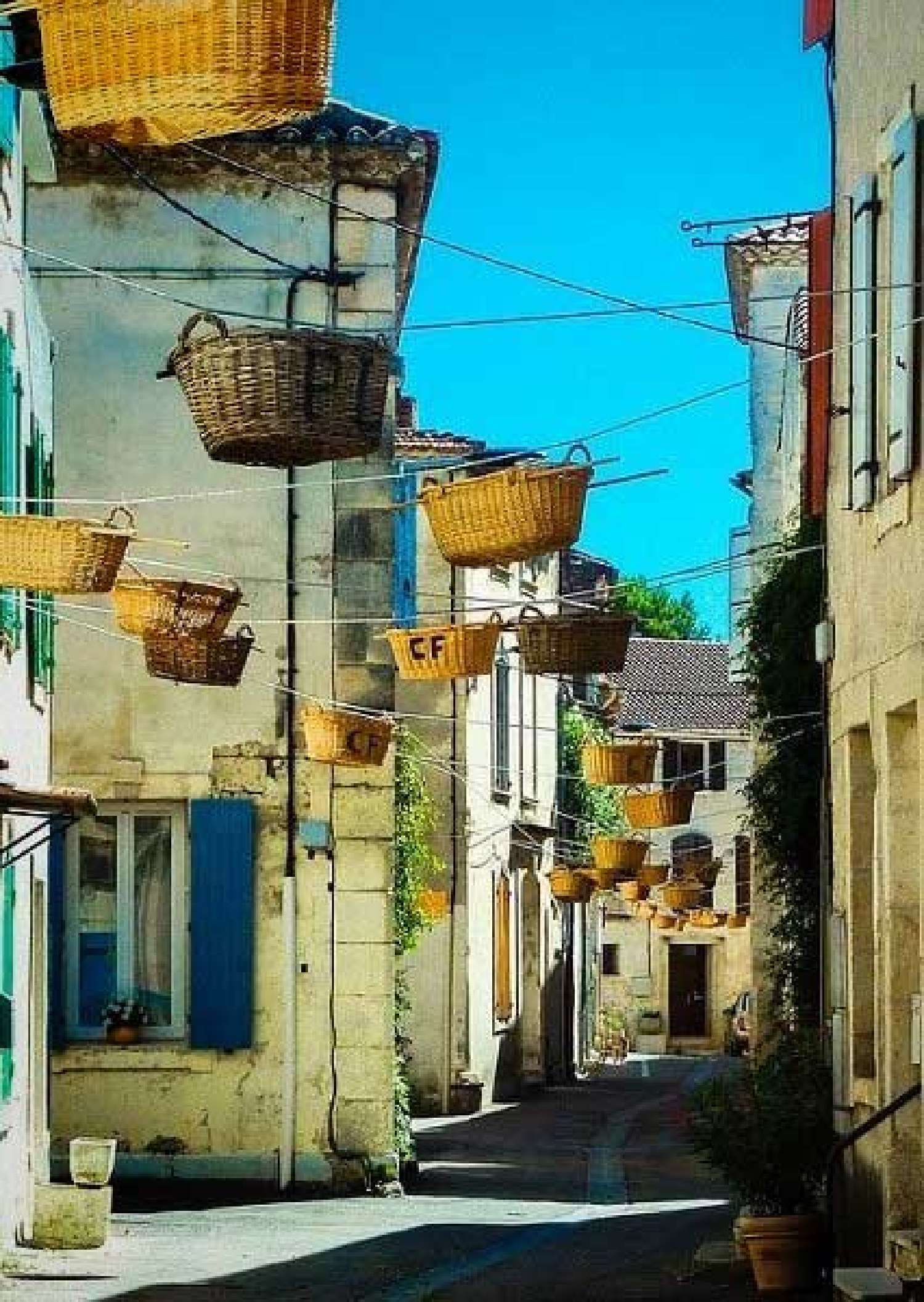 à vendre maison Vallabrègues Gard 1