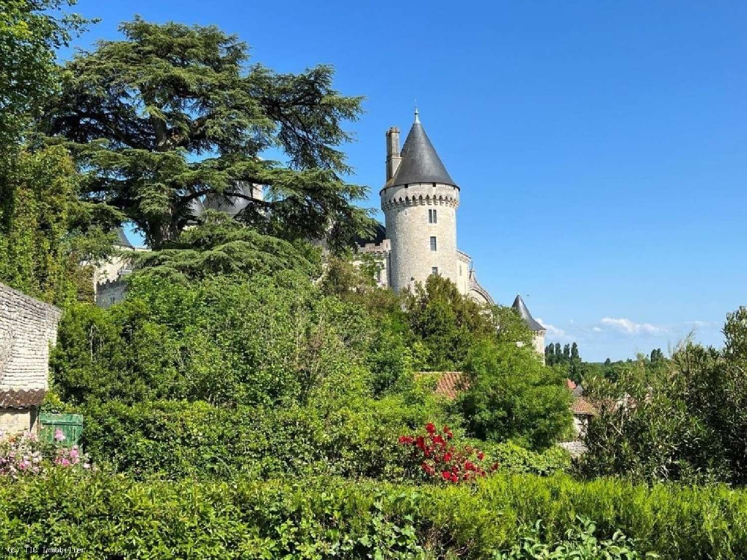 for sale house Verteuil-sur-Charente Charente 2