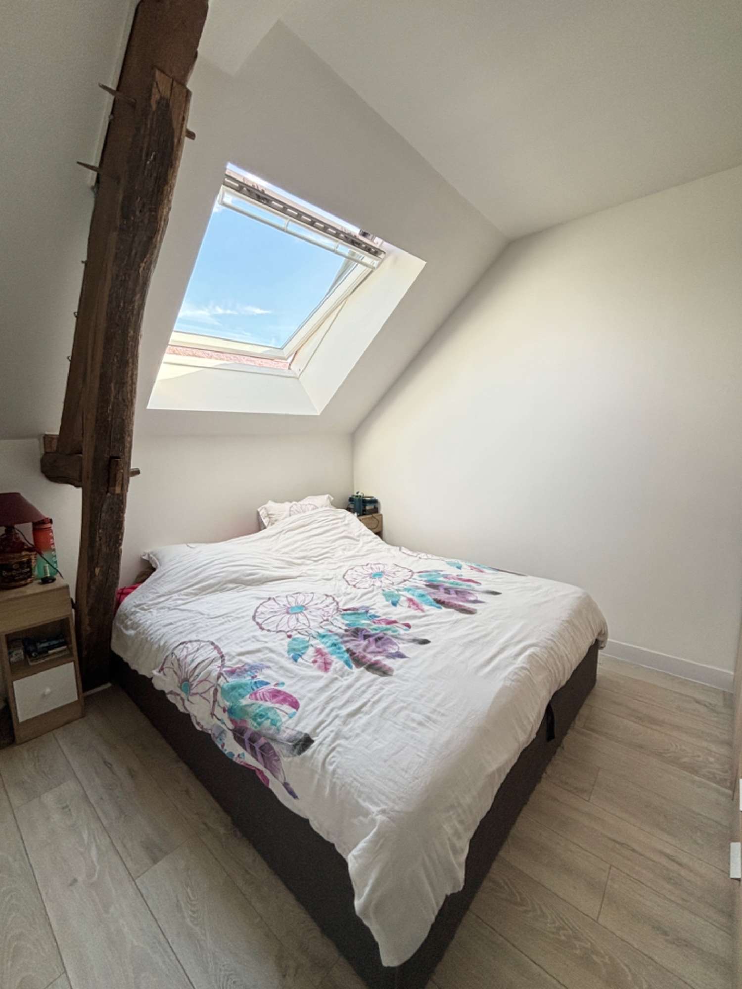  kaufen Haus Vienne-en-Val Loiret 6