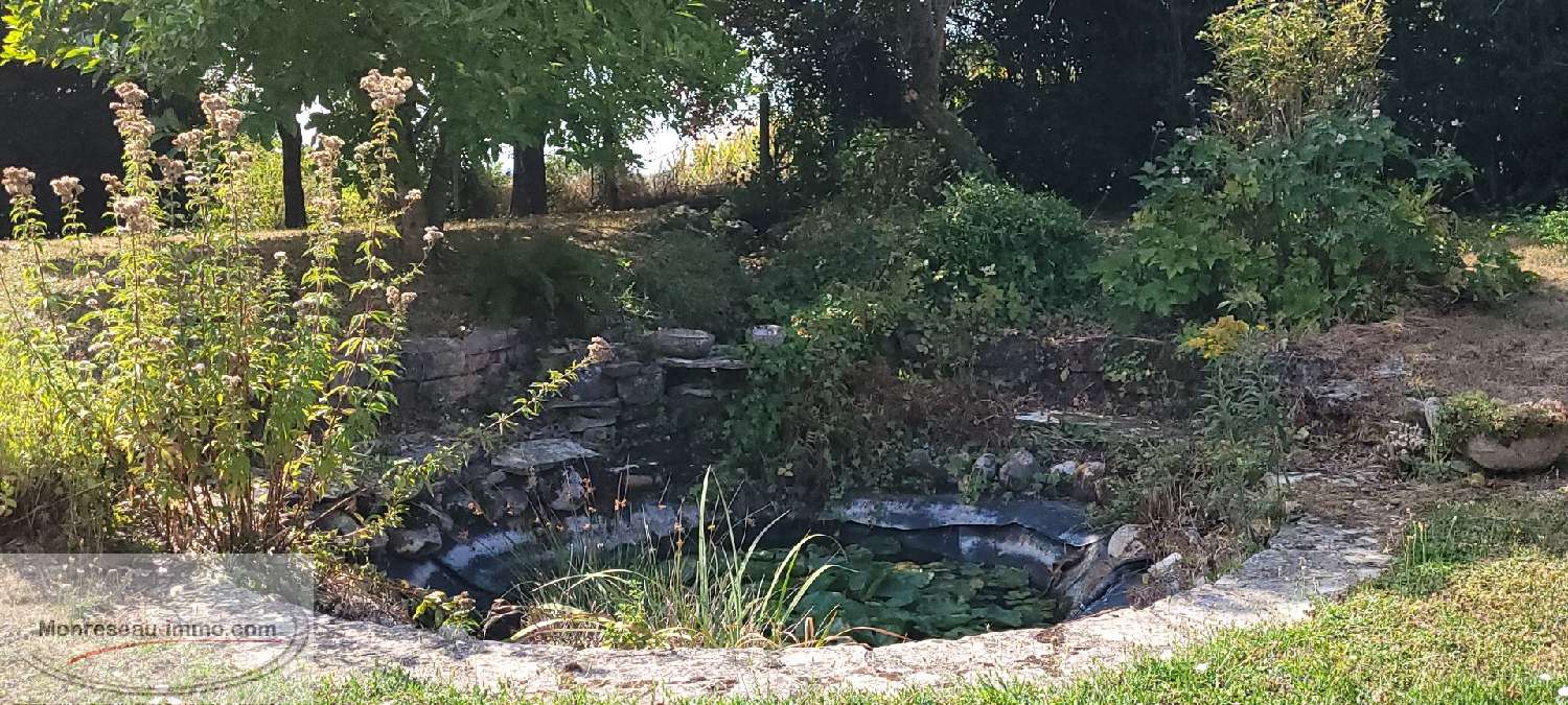 te koop huis Villemotier Ain 4