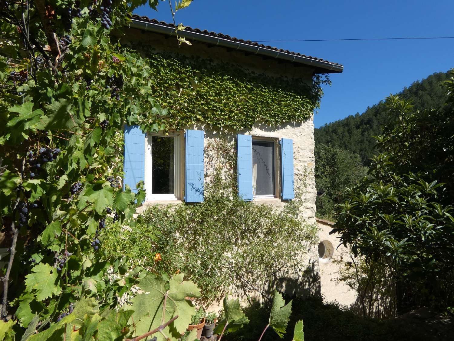  à vendre maison Volonne Alpes-de-Haute-Provence 1