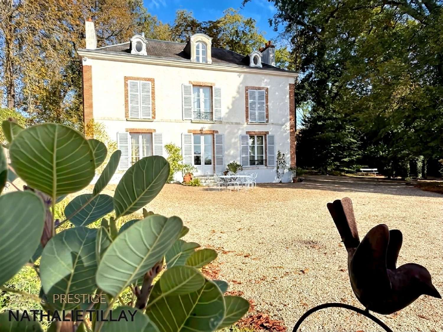 for sale mansion La Chapelle-Saint-Mesmin Loiret 3