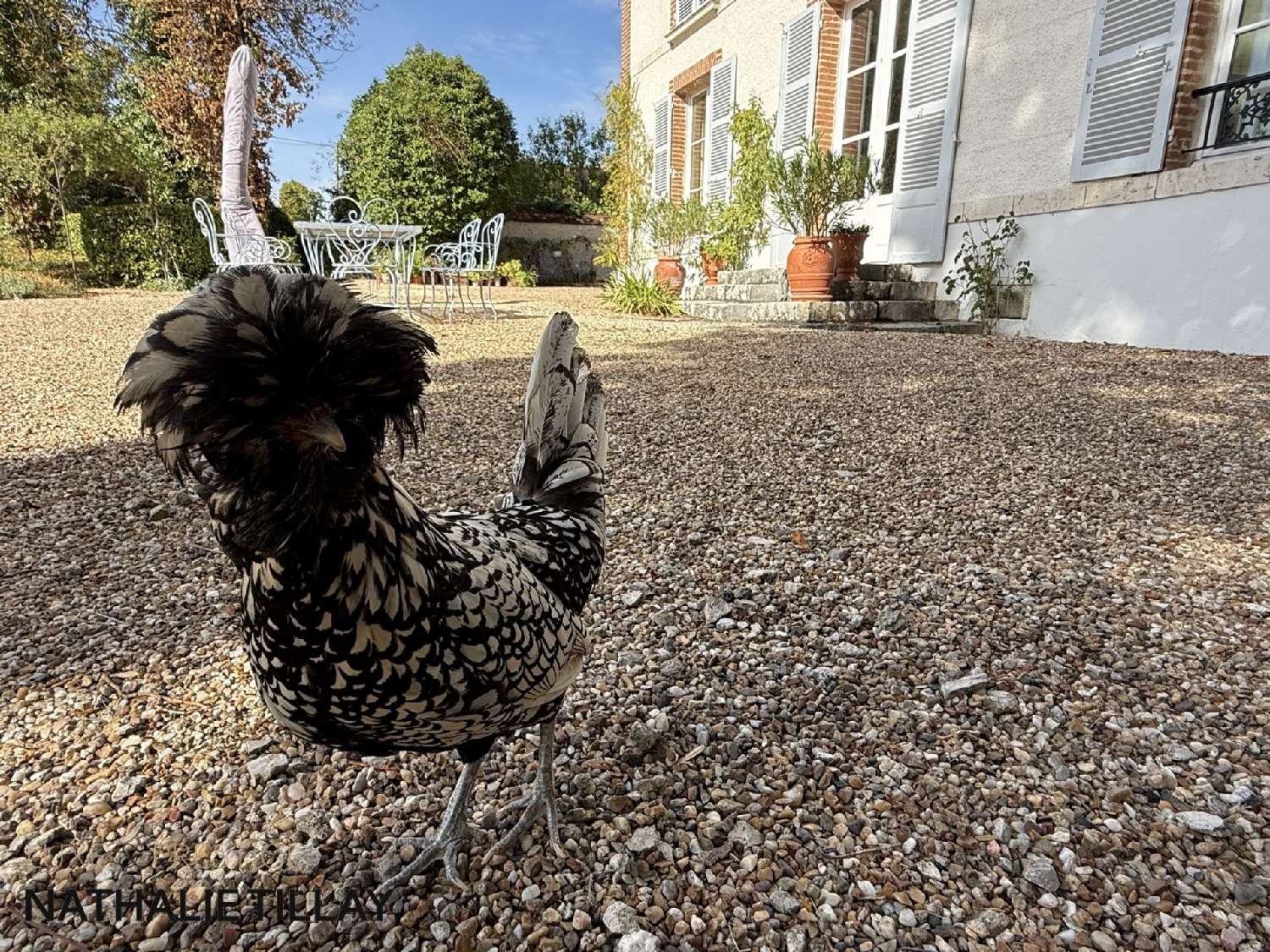 for sale mansion La Chapelle-Saint-Mesmin Loiret 5