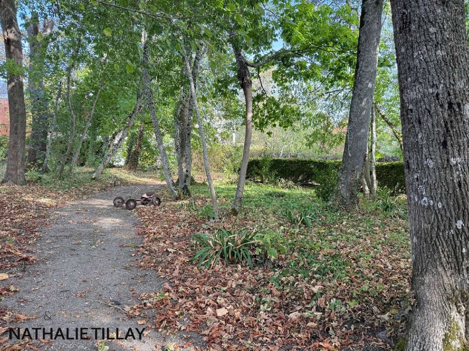 for sale mansion La Chapelle-Saint-Mesmin Loiret 7