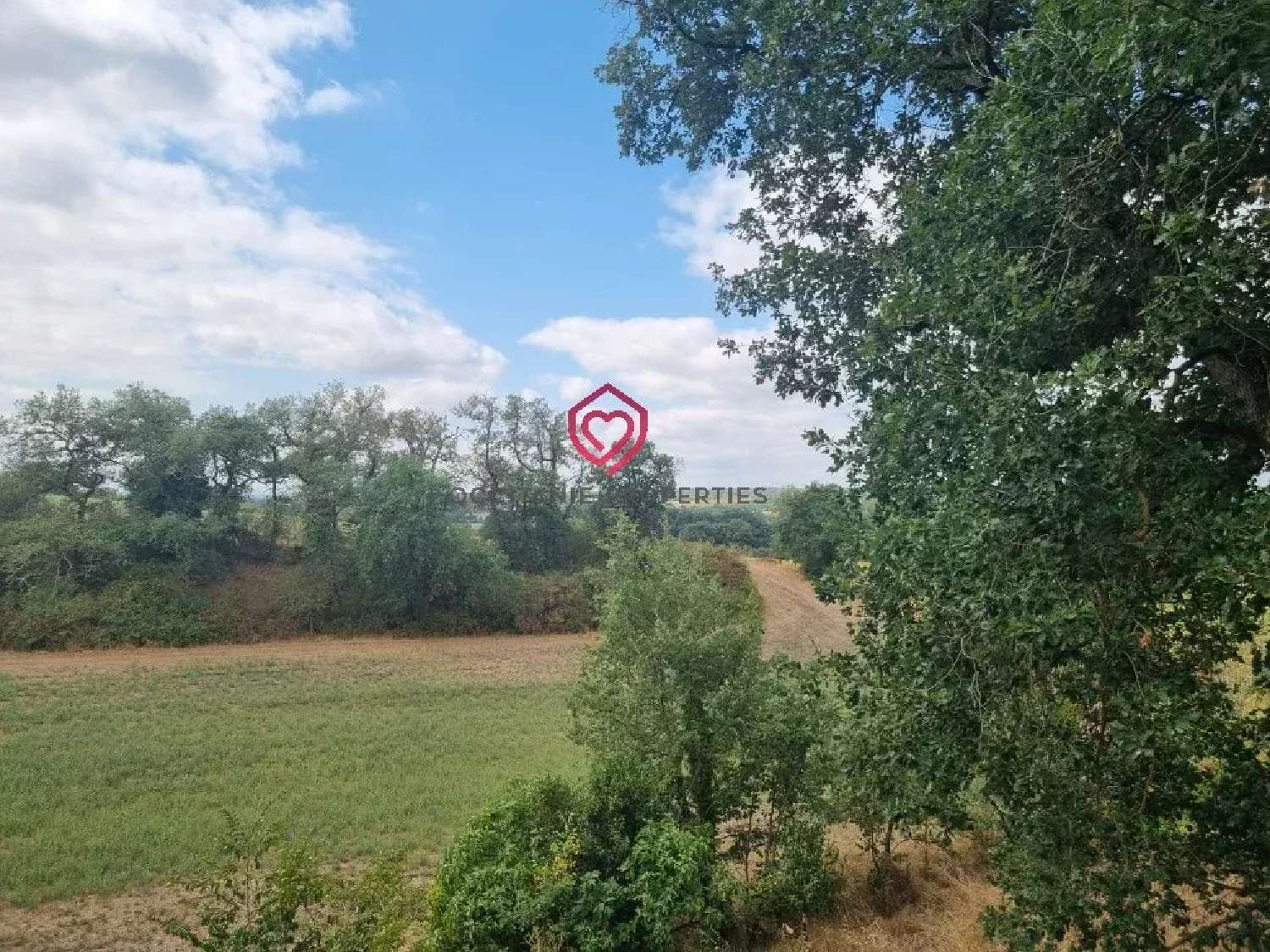 à vendre maison bourgeoise Mirande Gers 2