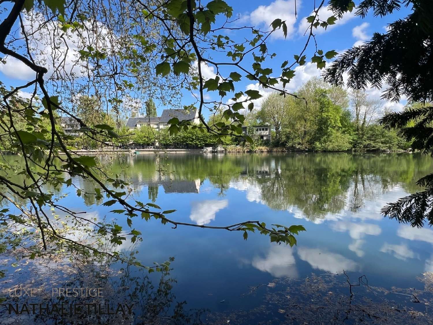  à vendre maison bourgeoise Olivet Loiret 2