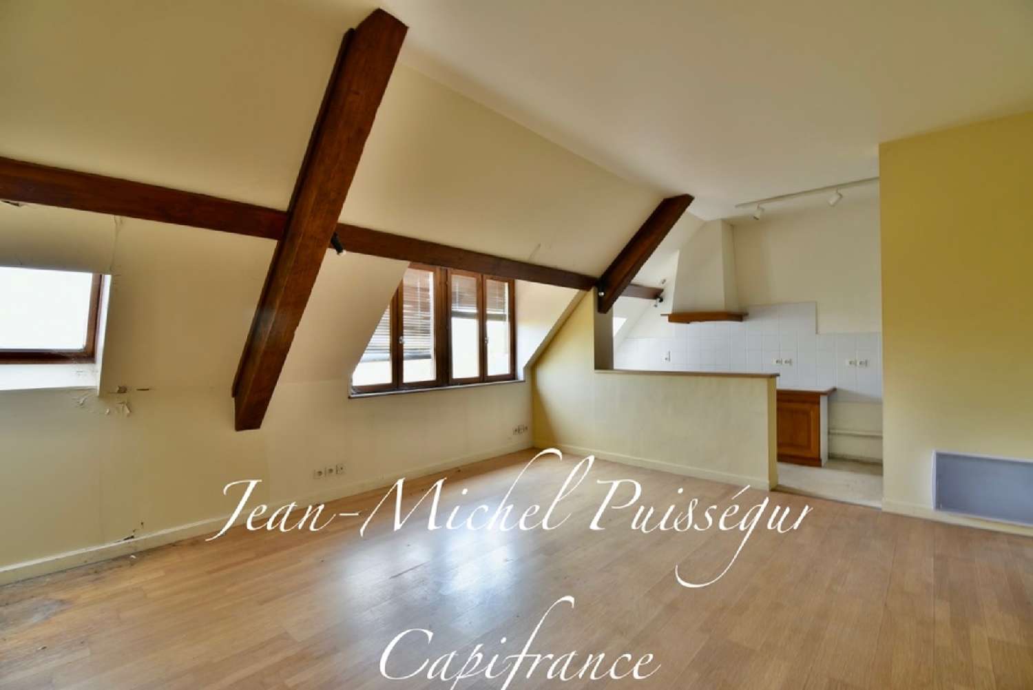  à vendre maison bourgeoise Saint-Gaudens Haute-Garonne 8