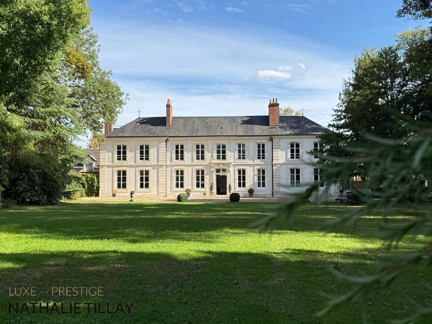 for sale mansion Saint-Jean-de-Braye Loiret 1
