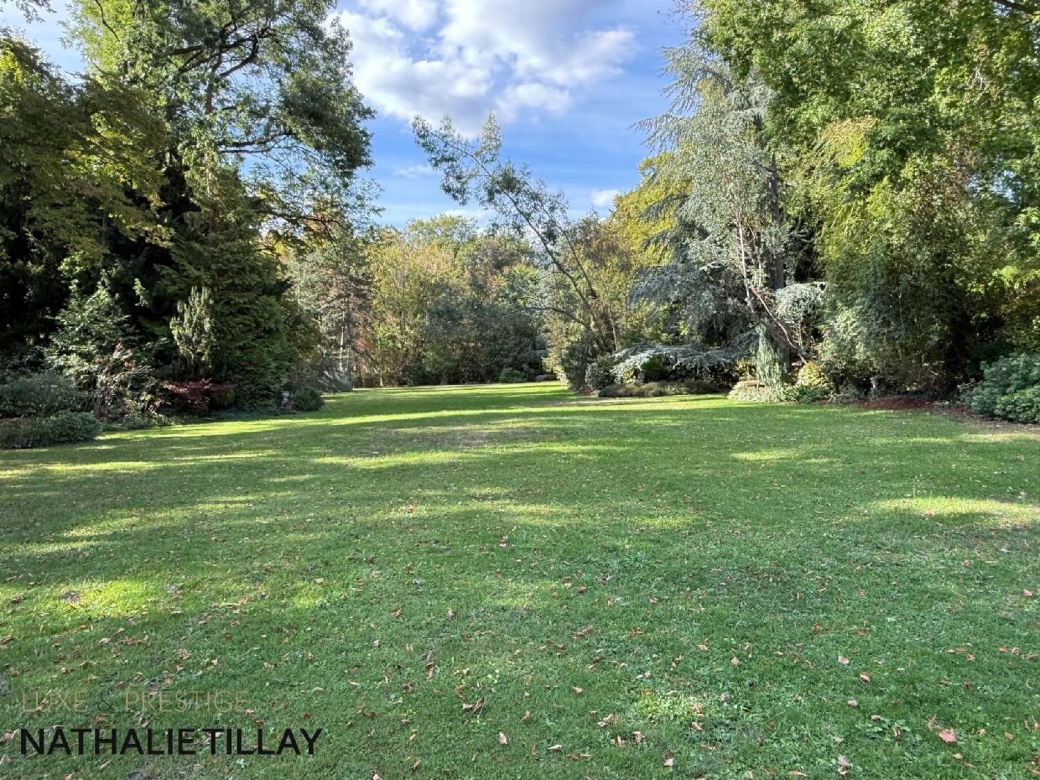 for sale mansion Saint-Jean-de-Braye Loiret 2