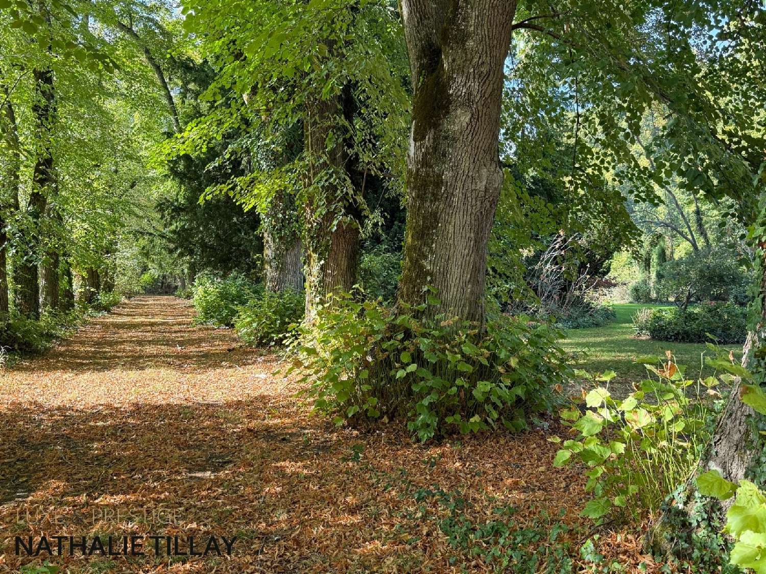for sale mansion Saint-Jean-de-Braye Loiret 3
