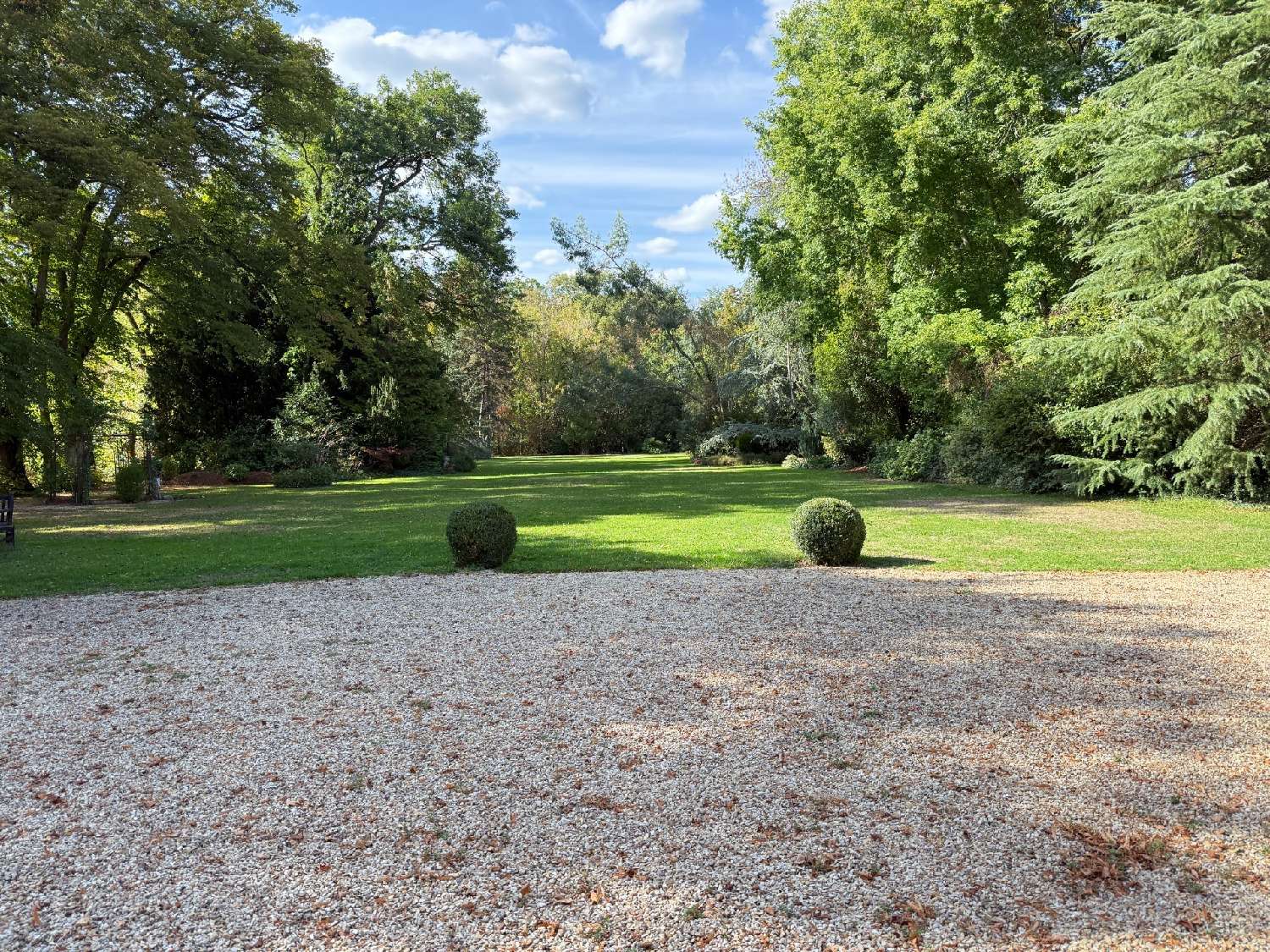 for sale mansion Saint-Jean-de-Braye Loiret 4