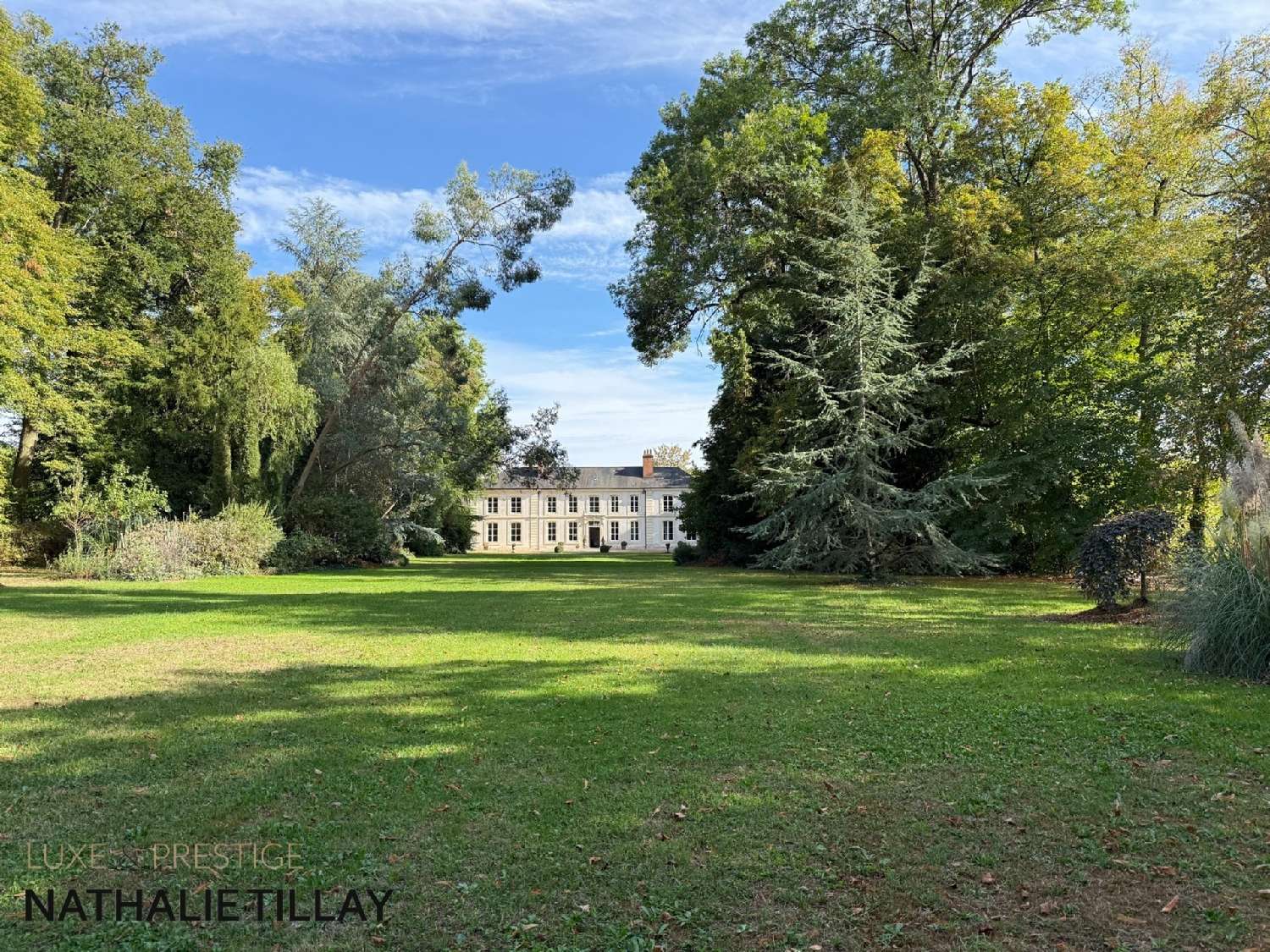 for sale mansion Saint-Jean-de-Braye Loiret 5