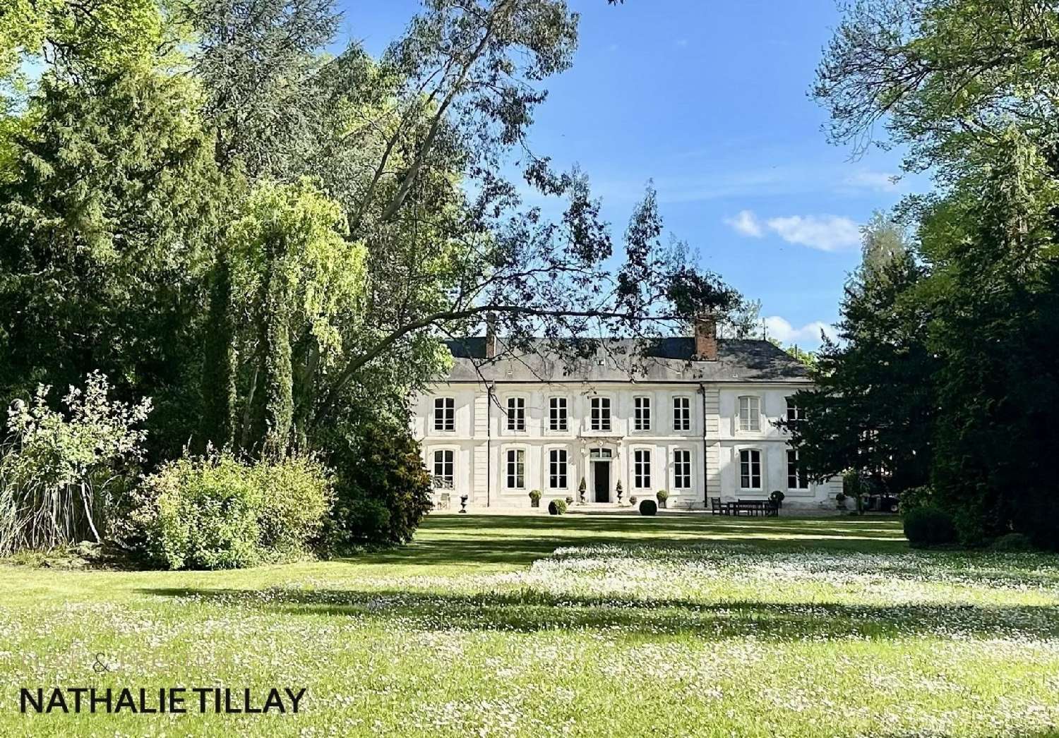 for sale mansion Saint-Jean-de-Braye Loiret 6