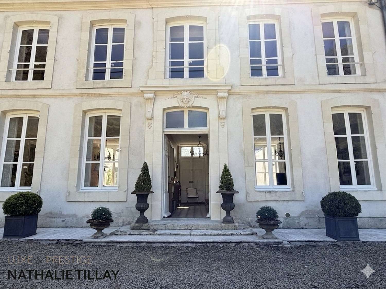 for sale mansion Saint-Jean-de-Braye Loiret 7