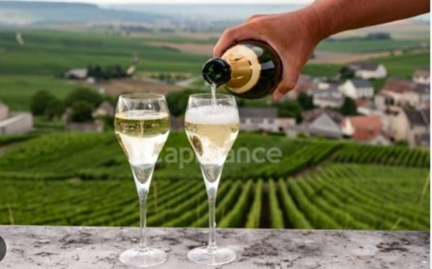  for sale restaurant Reims Marne 6