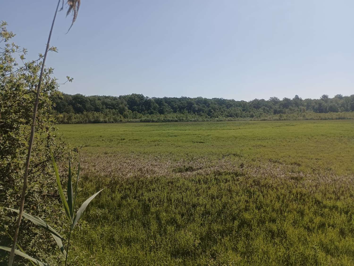  à vendre terrain Ailloncourt Haute-Saône 2