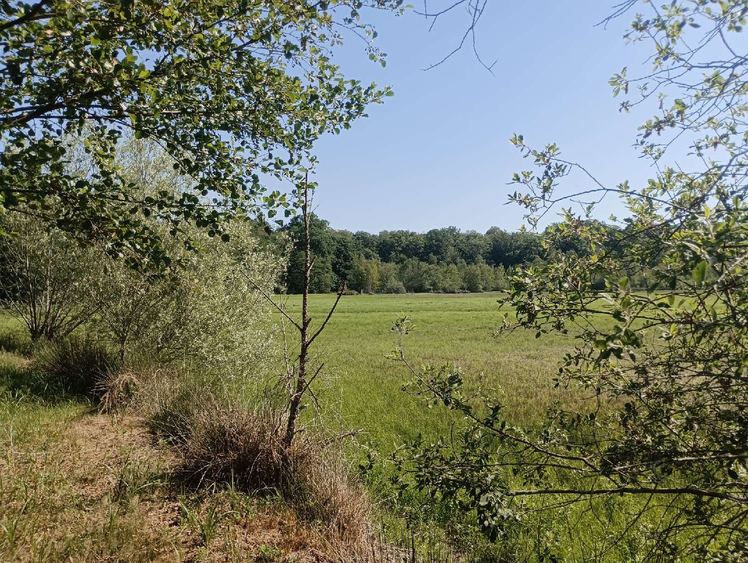  à vendre terrain Ailloncourt Haute-Saône 3