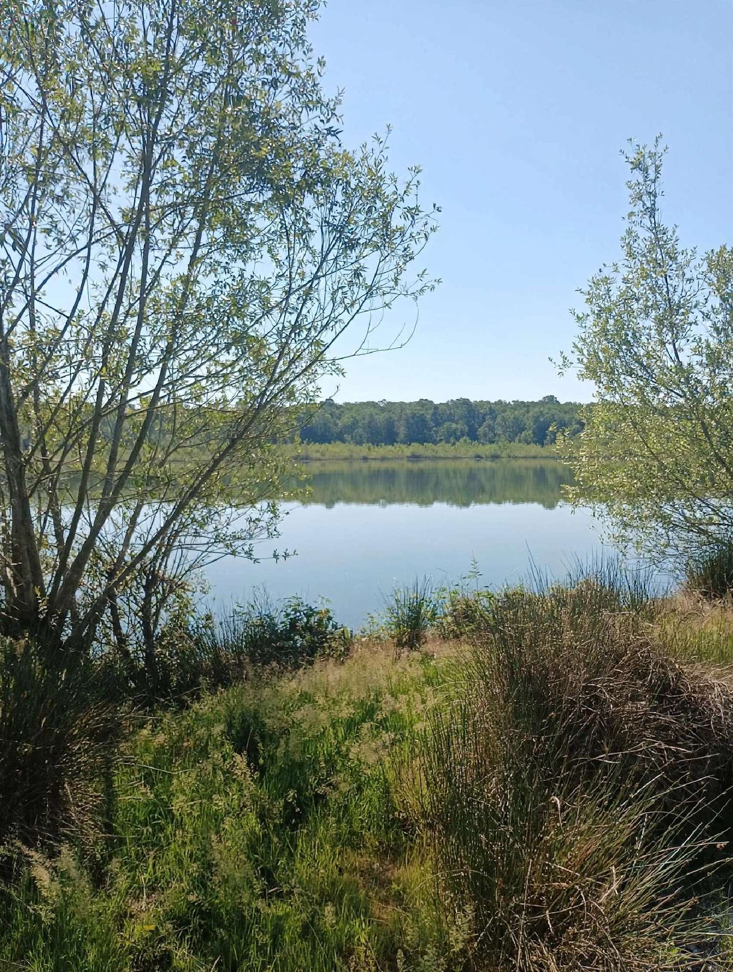  à vendre terrain Ailloncourt Haute-Saône 6