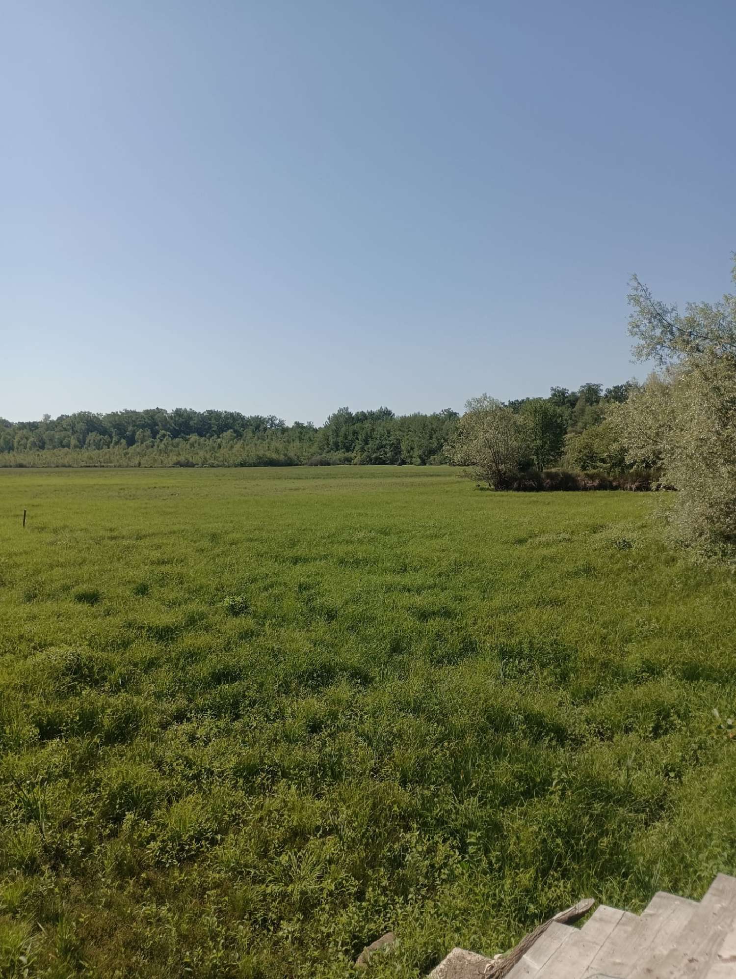  à vendre terrain Ailloncourt Haute-Saône 7