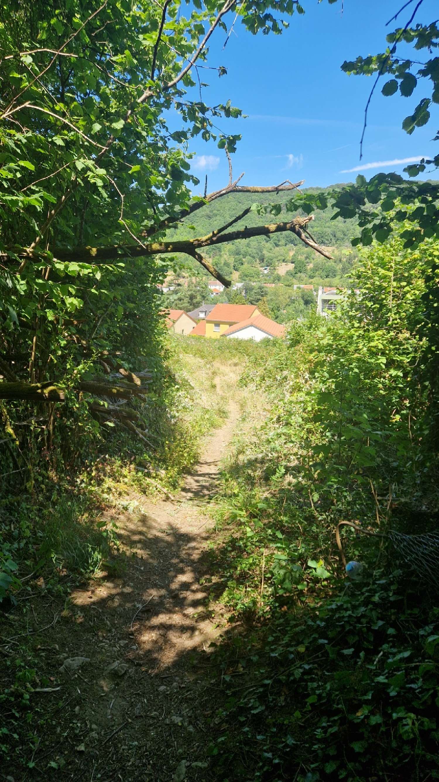 for sale terrain Ars-sur-Moselle Moselle 3