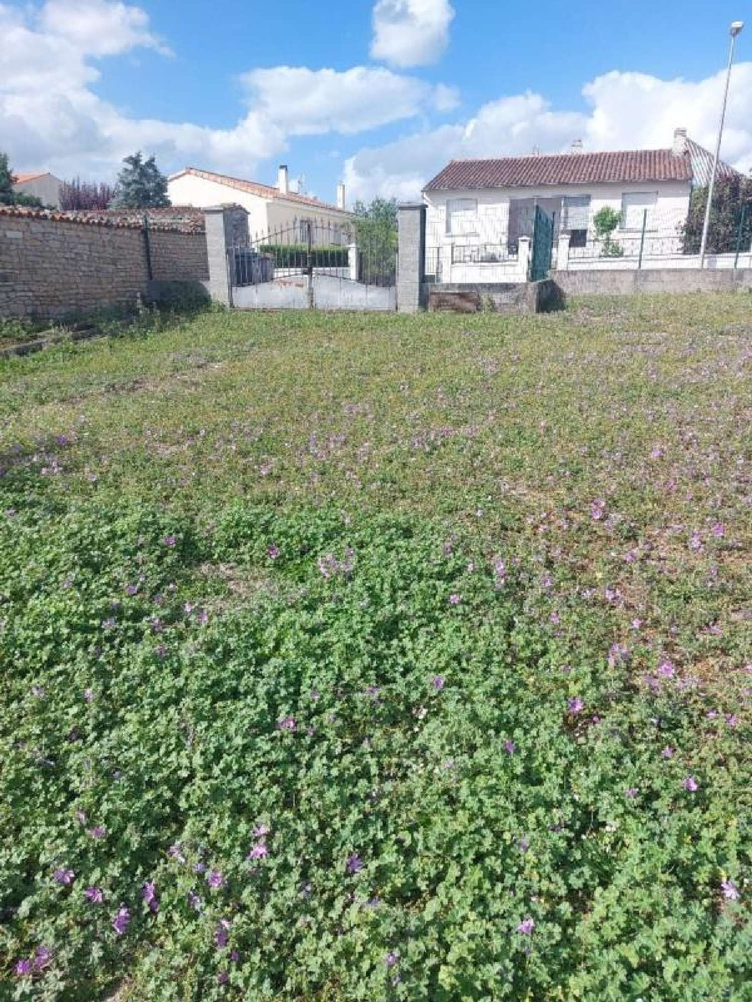  à vendre terrain Aulnay Charente-Maritime 2