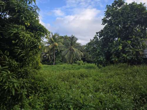 Baie-Mahault Guadeloupe terrain foto 7408205