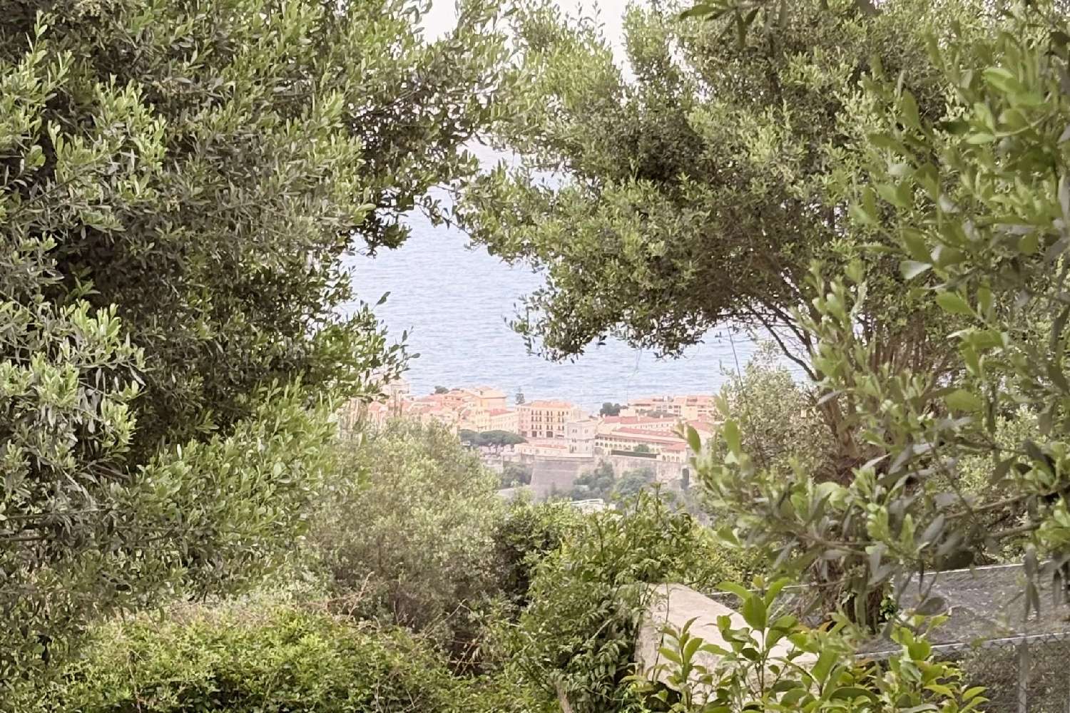 for sale terrain Beausoleil Alpes-Maritimes 4