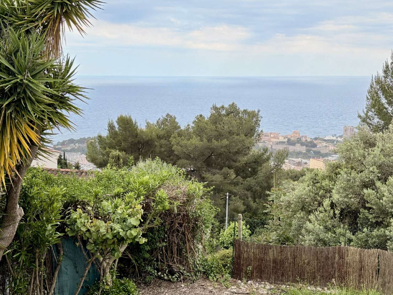 for sale terrain Beausoleil Alpes-Maritimes 6